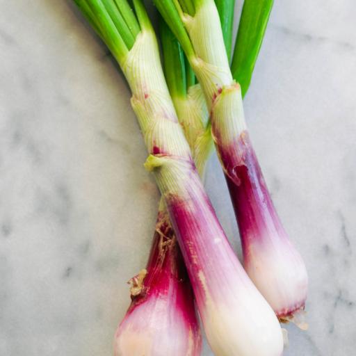 Ail frais - Botte (3p)