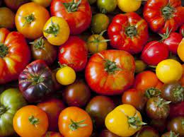 Tomates anciennes (mix de variétés) (100gr)