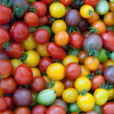 Tomates cerises (mix de couleurs et variétés) (100gr)