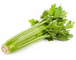 AR Céleri branche BIO