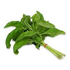 Basilic - Botte (80 grs)
