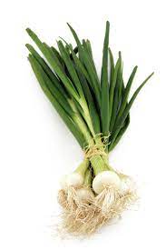 Oignons blancs frais gros - Botte (3-5)