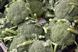 AR Choux brocolis BIO (100gr. Quant. min 300gr)