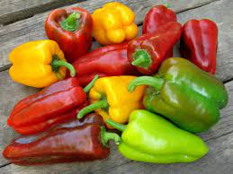 AR Poivrons BIO (100gr)