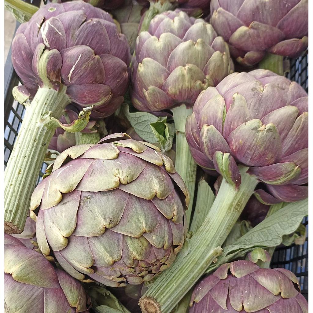 AR Artichaut BIO (100g) min 400g